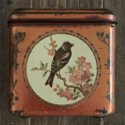 Vintage blikje vogels